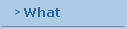 What